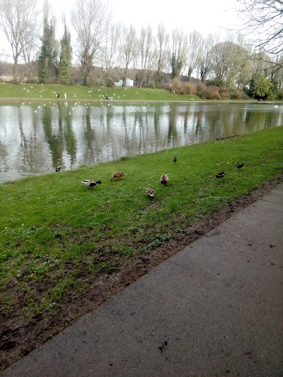 Photos of The Atlantic Pond