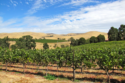 Hawthorn Suites Wyndham Napa Valley