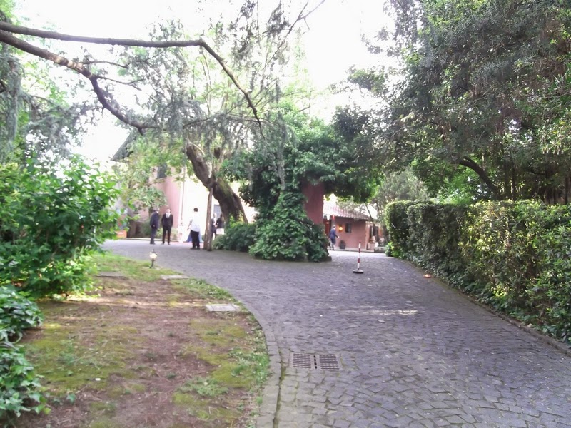 Viale alberato all'ingresso