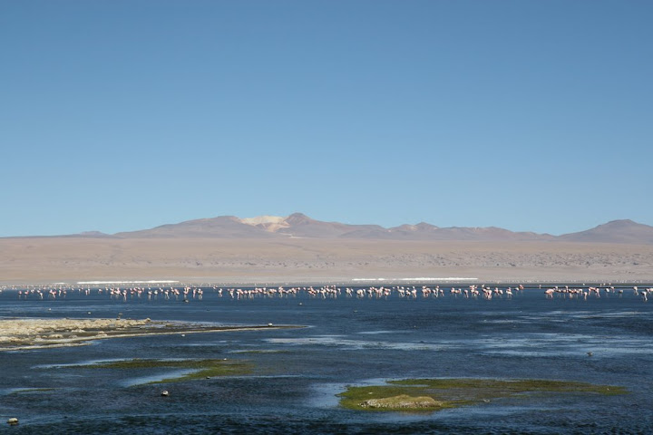 Ветер в кактусах: отчет о поездке Перу - Боливия