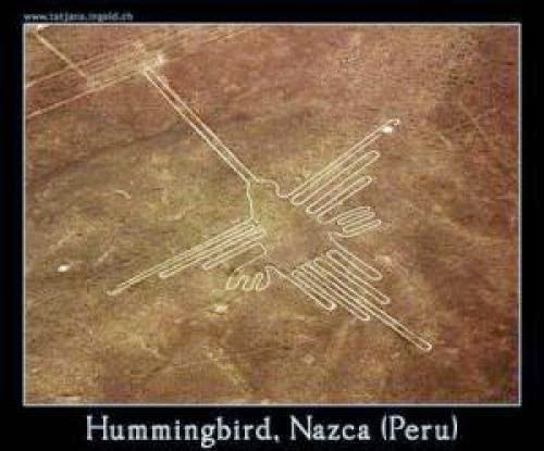 Ufology Hummingbird Nazcline And Crop Circle