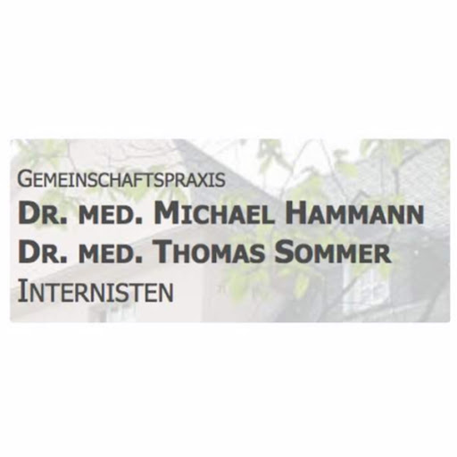 Praxisgemeinschaft Dr. med. Michael Hammann und Dr. med. Thomas Sommer logo