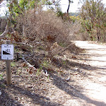 Steep signpost on The Basin service trail (29621)