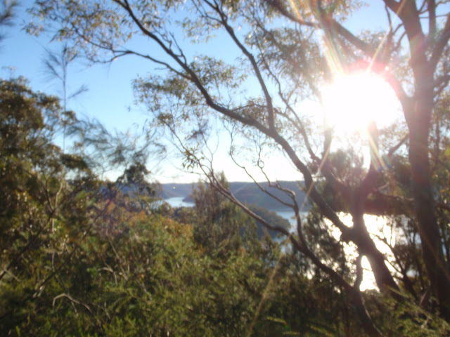 Topham Track walking track