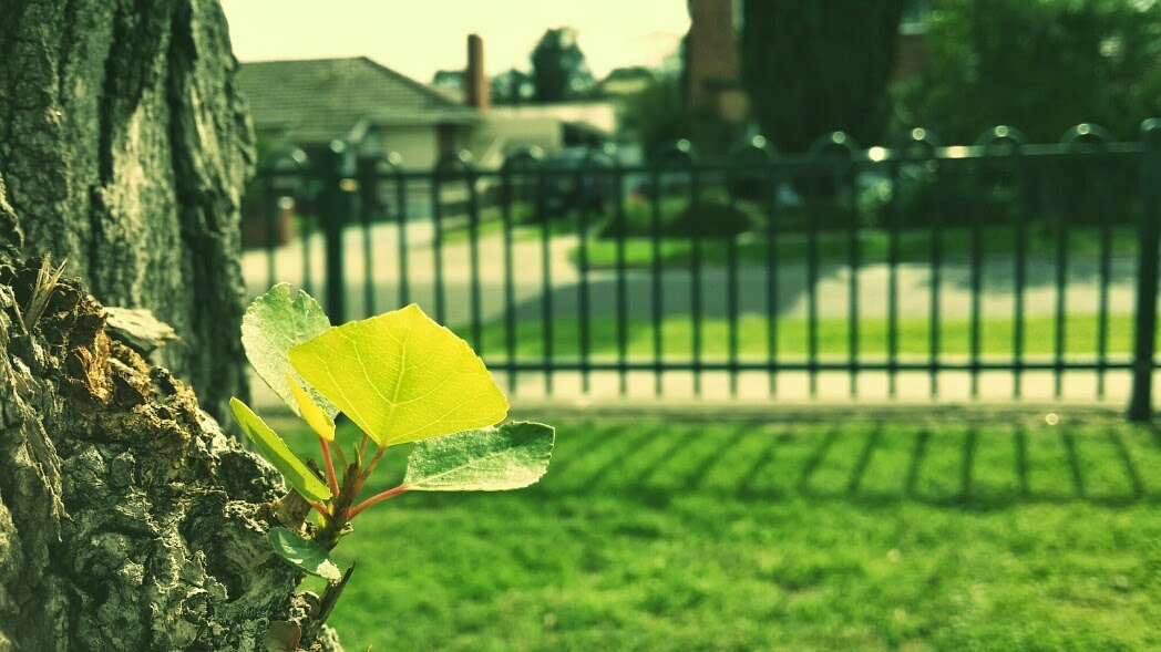 20140428_111858_1_20140608134238496.