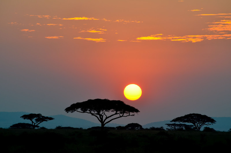 SAFARI EN KENIA Y TANZANIA - Blogs of Africa East y Central - Etapa 0: Filosofía, itinerario y expectativas (1)