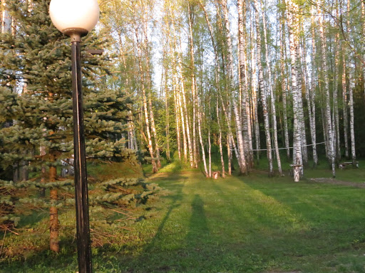 Отель лесной нижнекамск