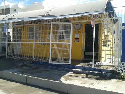 Chito Gaming Cafe, Amado Nervo, Entre Jazmin y Col., Gardenia, Boquerón del Palmar, Cd del Carmen, Camp., México, Salón recreativo | CAMP