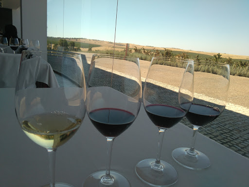 Bodegas Habla