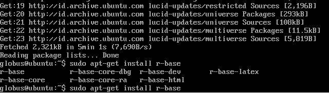 install r software ubuntu linux