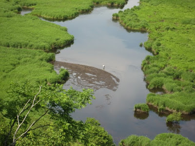のんびり になれる湿原展望台 コッタロ湿原展望台 北海道 標茶町 神戸からの食いしんぼドライブ 食べるの大好き