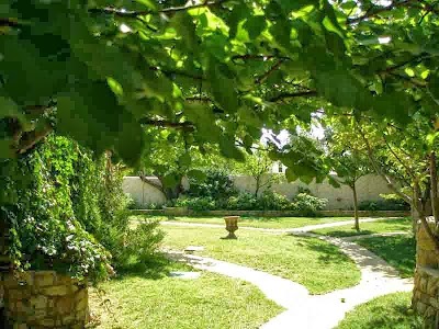 Photos of HOTEL ARIADNE