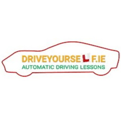 Drive Yourself Driving School logo