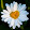 Daisy Fay Daisy Fay's profile photo