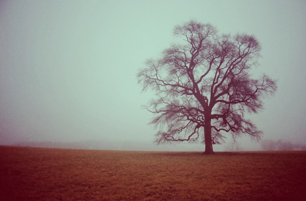 Photography rule of thirds explained