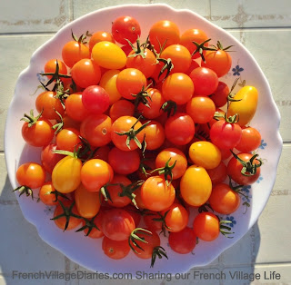 french village diaries recipes potager tomato chutney