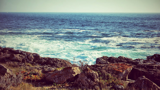 Cover photo