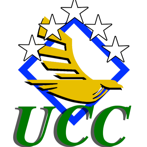 United Construction Company of Florida
