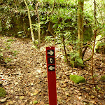 Track marker near Dora Creek (321230)