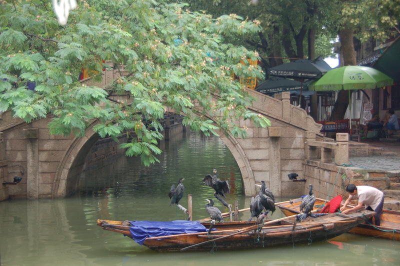 Suzhou-Huangshan (25-27 de agosto de 2008) - Un mes por China (2008) (1)