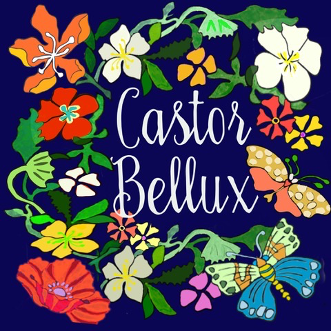 Castor Bellux logo