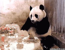 Stuffed Panda - Check Please!