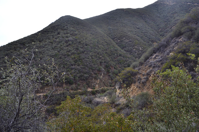 trail carved out on the side of the steep canyon wall