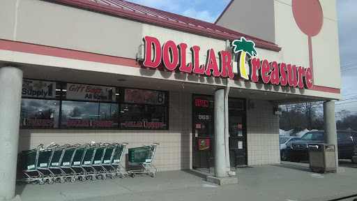 Dollar Store «Dollar Treasure», reviews and photos, 965 E Auburn Rd, Rochester Hills, MI 48307, USA