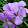 Tim O'Donnell Tim O'Donnell's profile photo