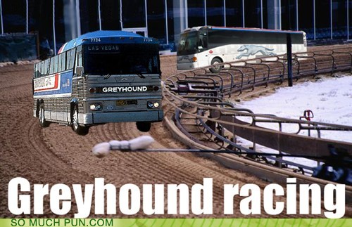 photo of greyhound buses racing