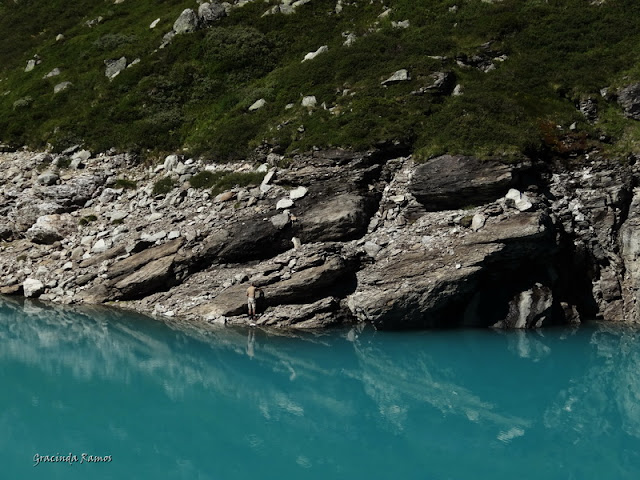 Passeando pela Suíça - 2012 - Página 10 DSC02460