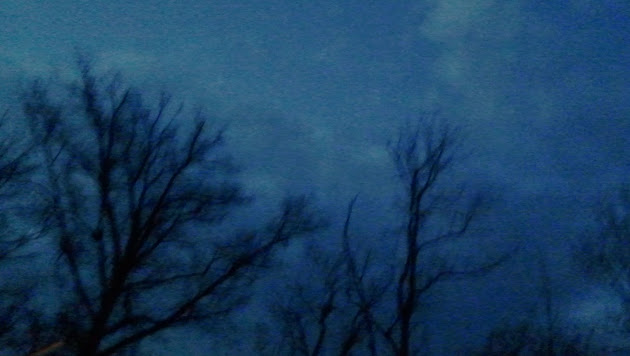 Cover photo