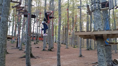 Photos of Parco Avventura Indiana Park Amiata