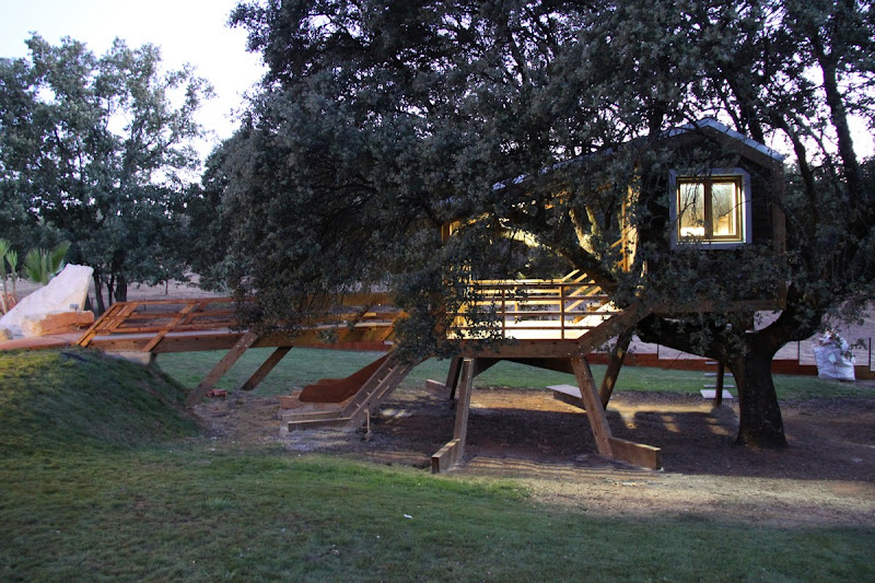 Casa en le árbol enraizada.