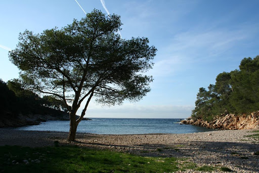 Atelier Bleu - CPIE Côte Provençale