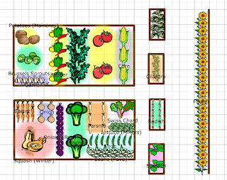 garden, garden plan, garden design