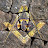 wilsonc357 avatar image