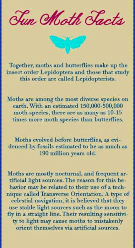 Happy Moth Week