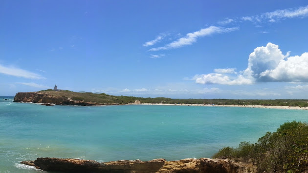 Cover photo
