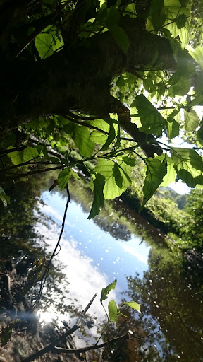Vallée du Cousin