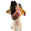 Jack Russell Lover Jack Russell Lover's profile photo