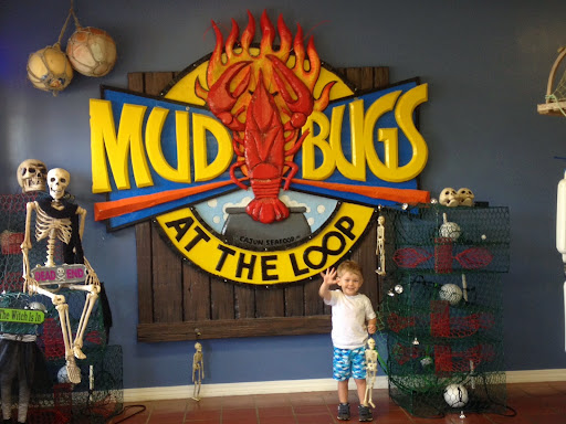 Mudbugs logo