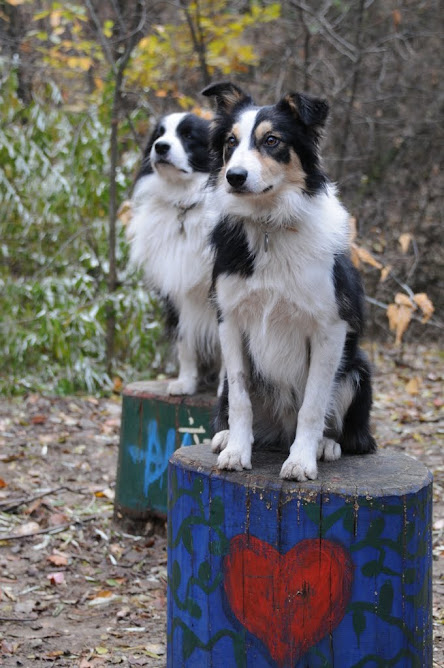 DSC_1778.JPG