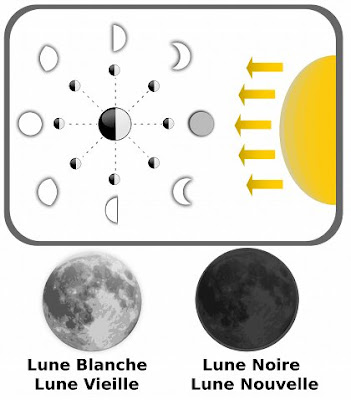 la lune et les champignons