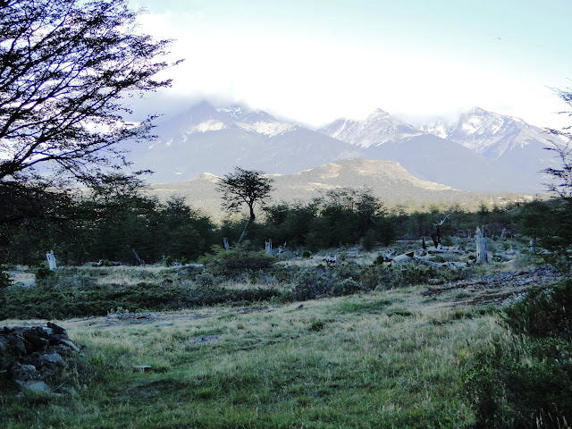 PATAGONIA E IGUAZÚ - Blogs de America Sur - Torres del Paine (3)