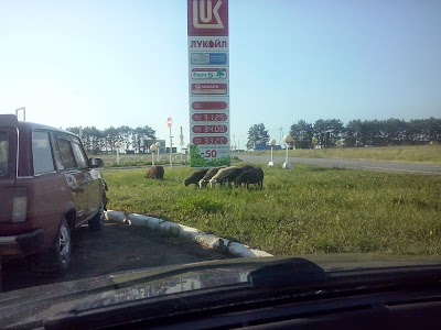 Photos of Zapravka Lukoyl