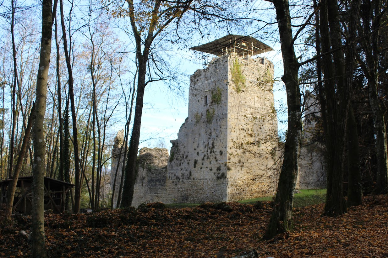 Le Chateau de Thol IMG_5983