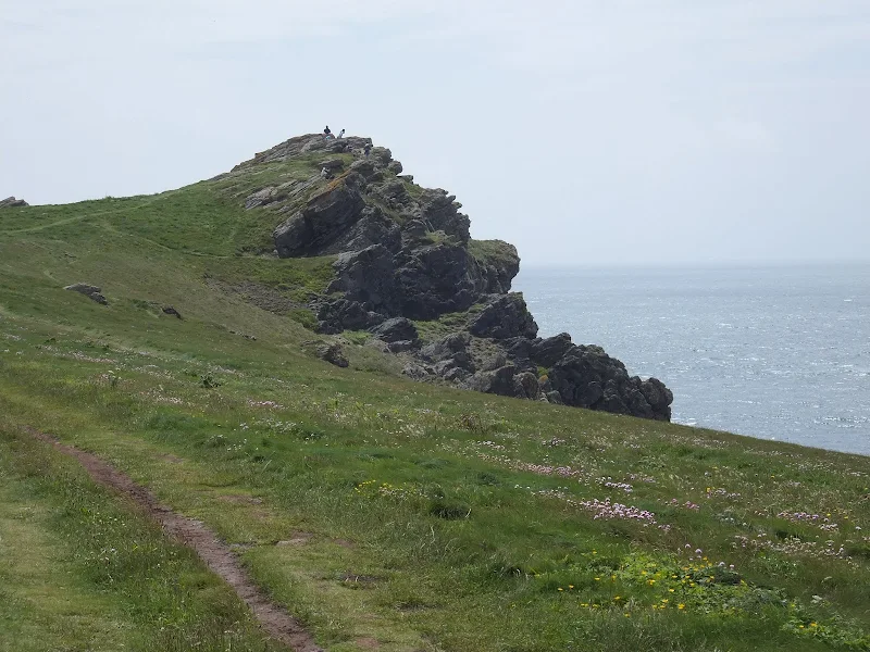 Lizard Point
