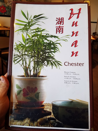 Chinese Restaurant «Hunan Chester», reviews and photos, 12611 Chillicothe Rd, Chesterland, OH 44026, USA