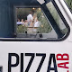 Pizza Lab Italian Laboratory
